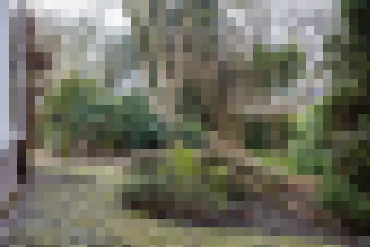 Molenbelterweg 19 Holten thumbnail 33