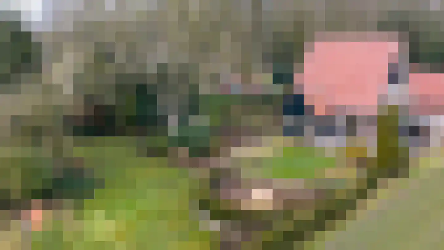 Molenbelterweg 19 Holten thumbnail 36