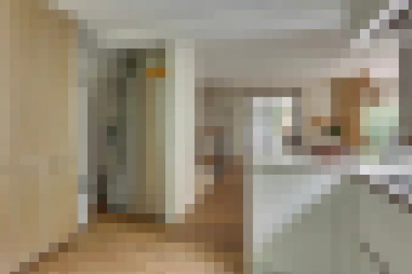 Molenbelterweg 34 Holten thumbnail 12