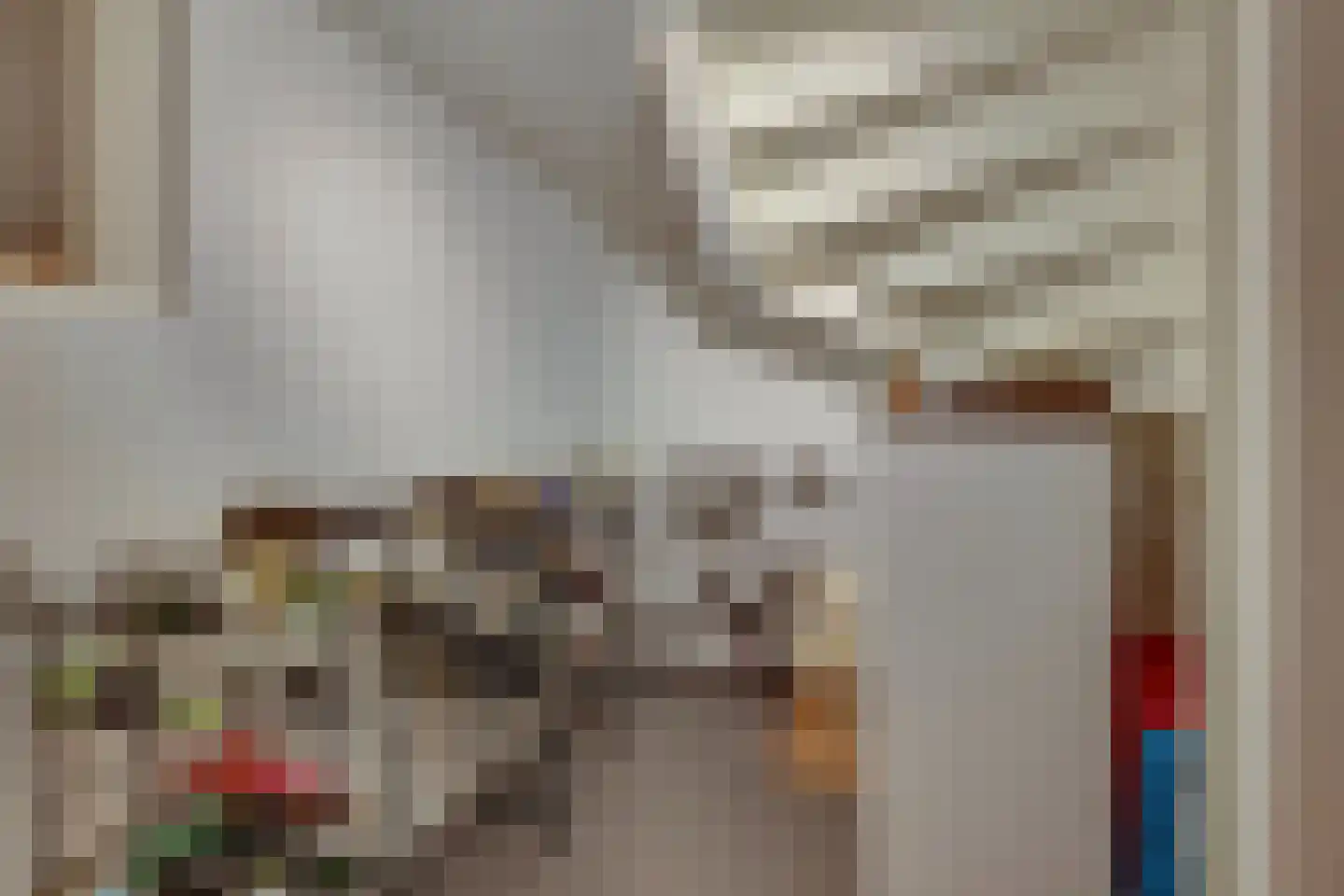 Molenbelterweg 34 Holten thumbnail 32