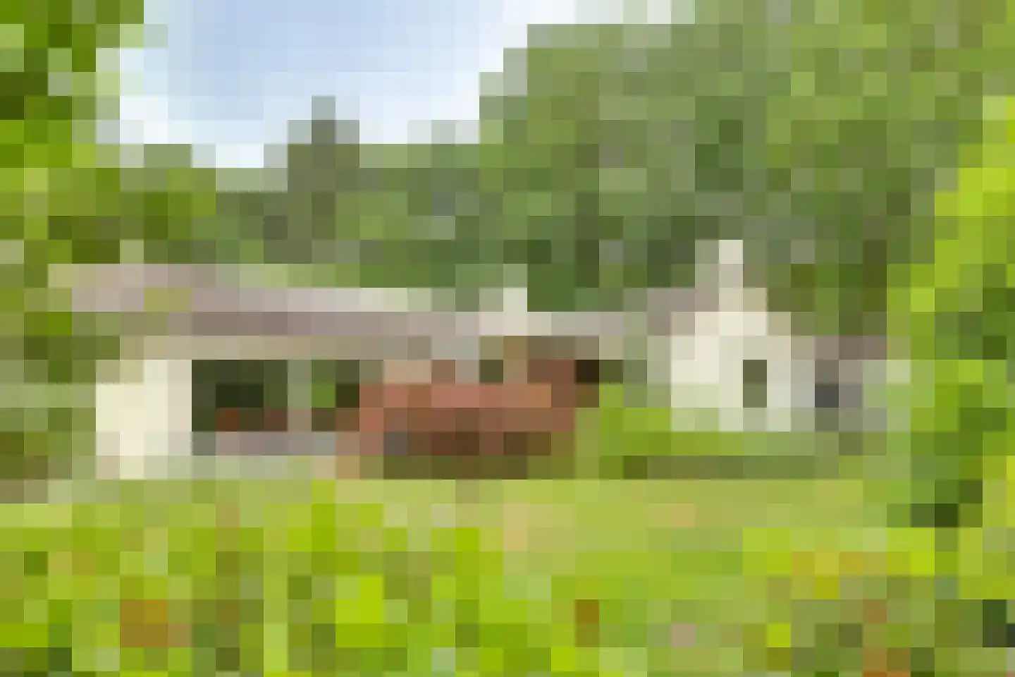 Molenbelterweg 34 Holten thumbnail 34