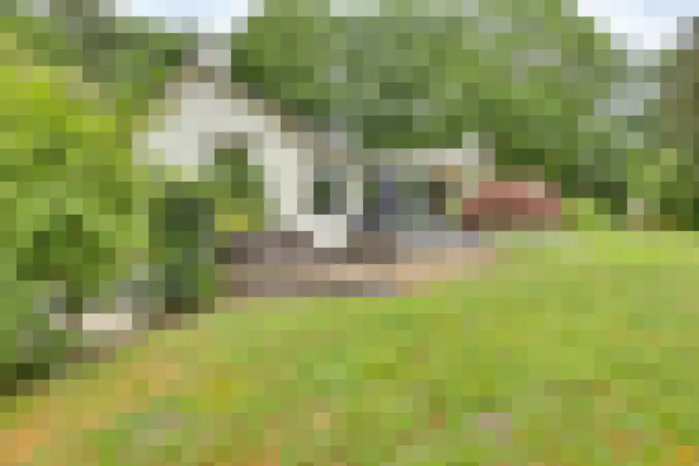 Molenbelterweg 34 Holten thumbnail 36