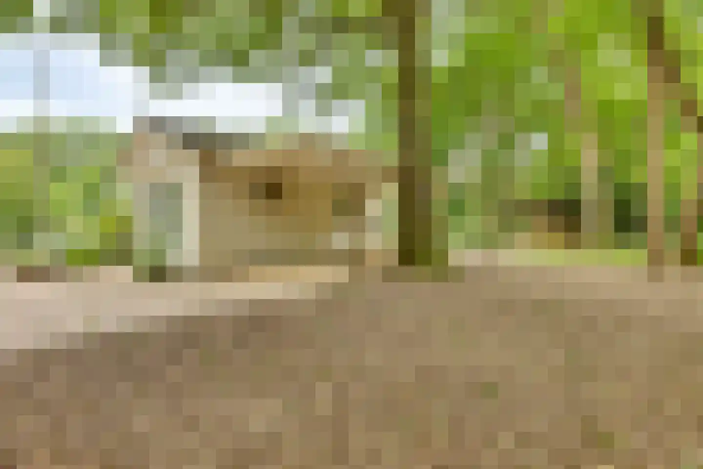 Molenbelterweg 34 Holten thumbnail 42