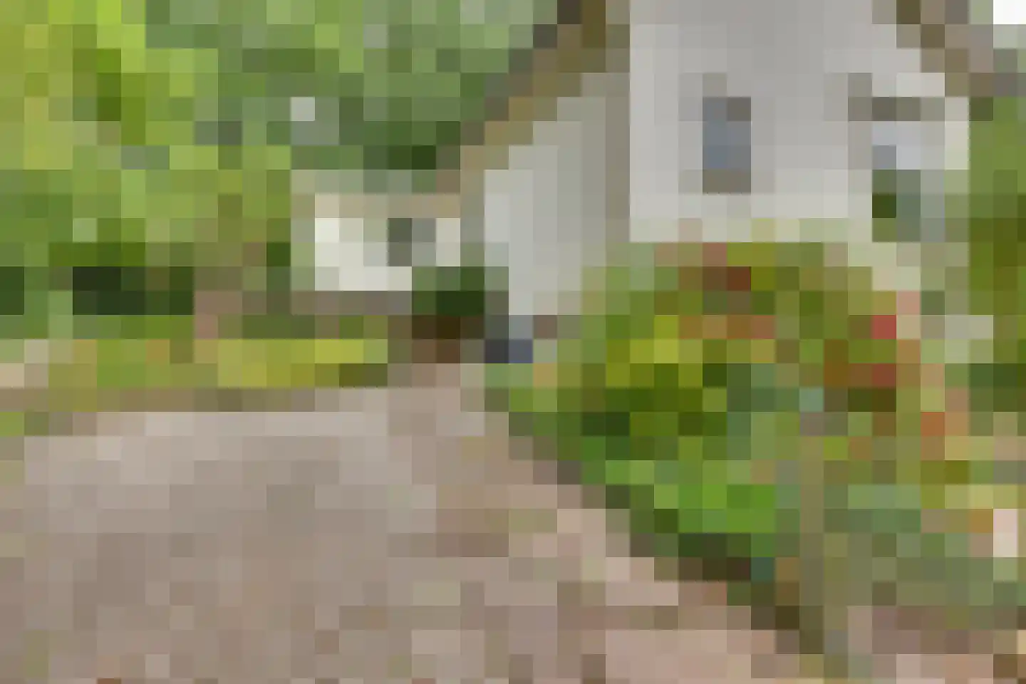 Molenbelterweg 34 Holten thumbnail 49
