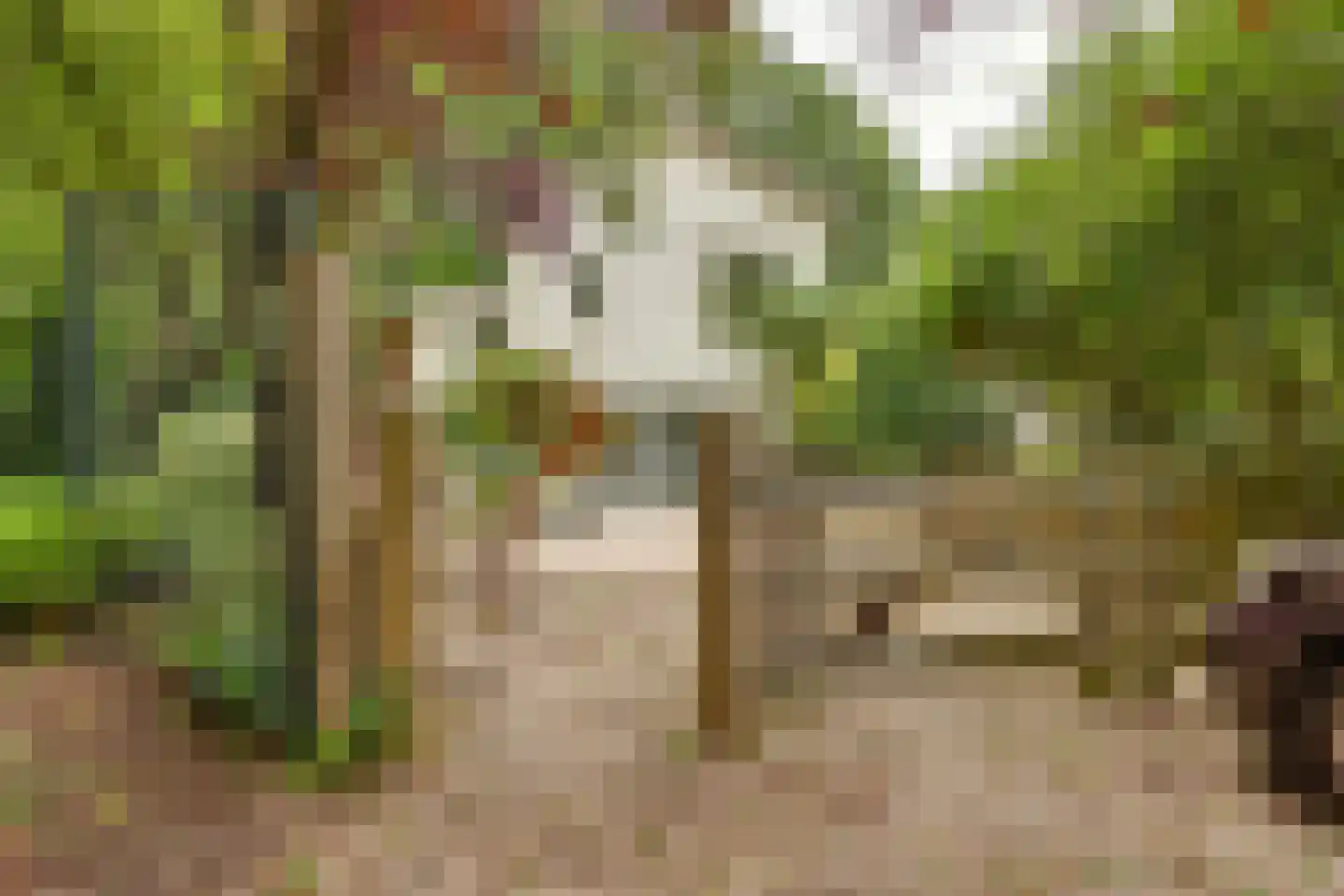 Molenbelterweg 34 Holten thumbnail 52