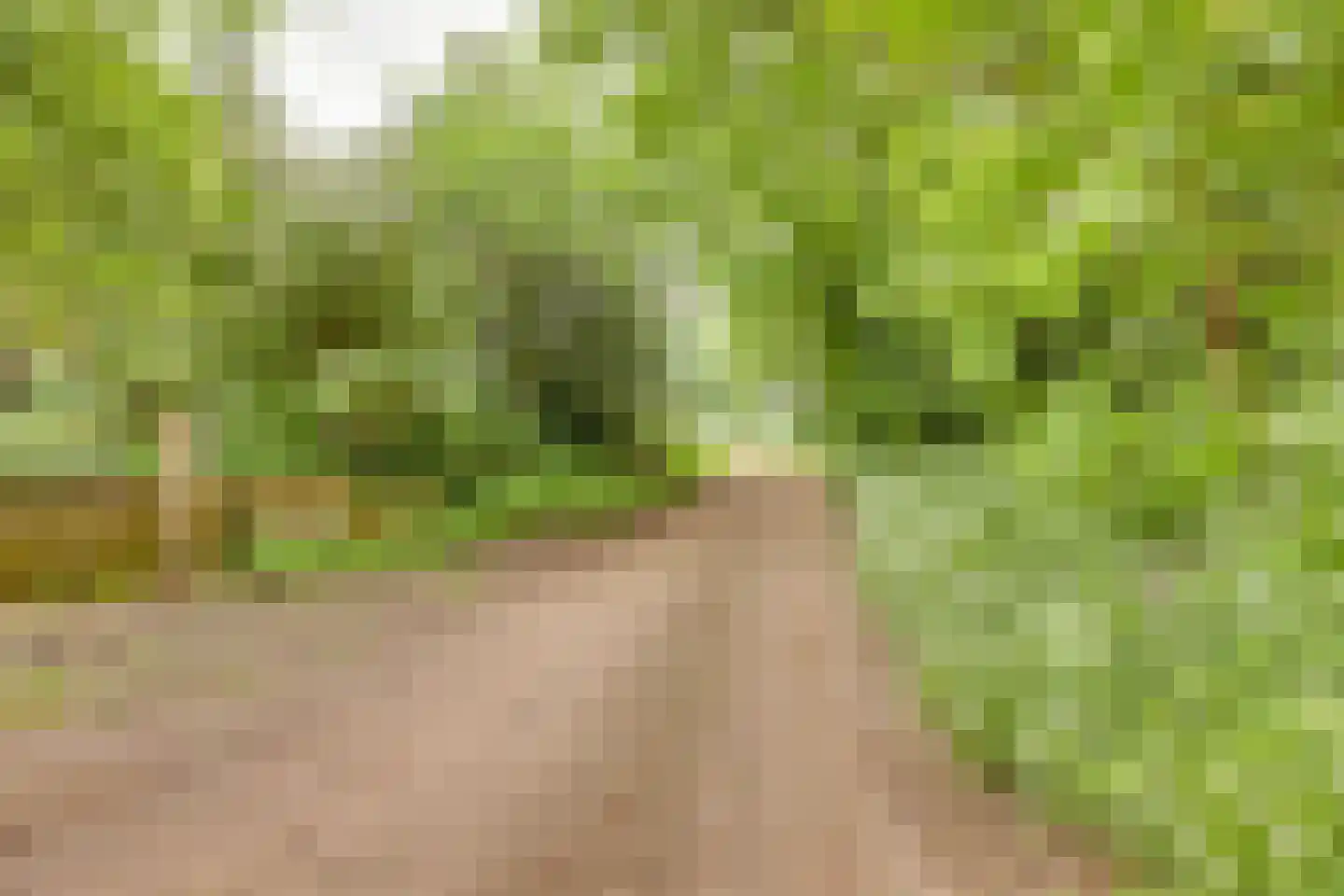 Molenbelterweg 34 Holten thumbnail 54