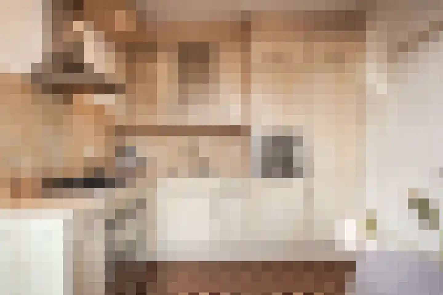 Molenberg 1 Huizen thumbnail 13