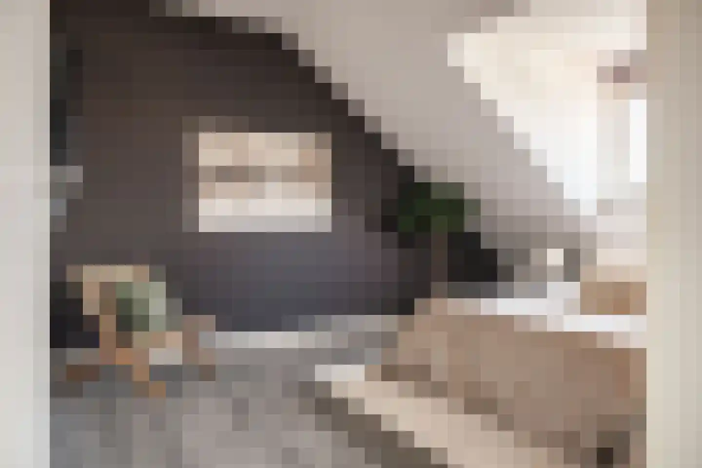 Molenberg 1 Huizen thumbnail 20