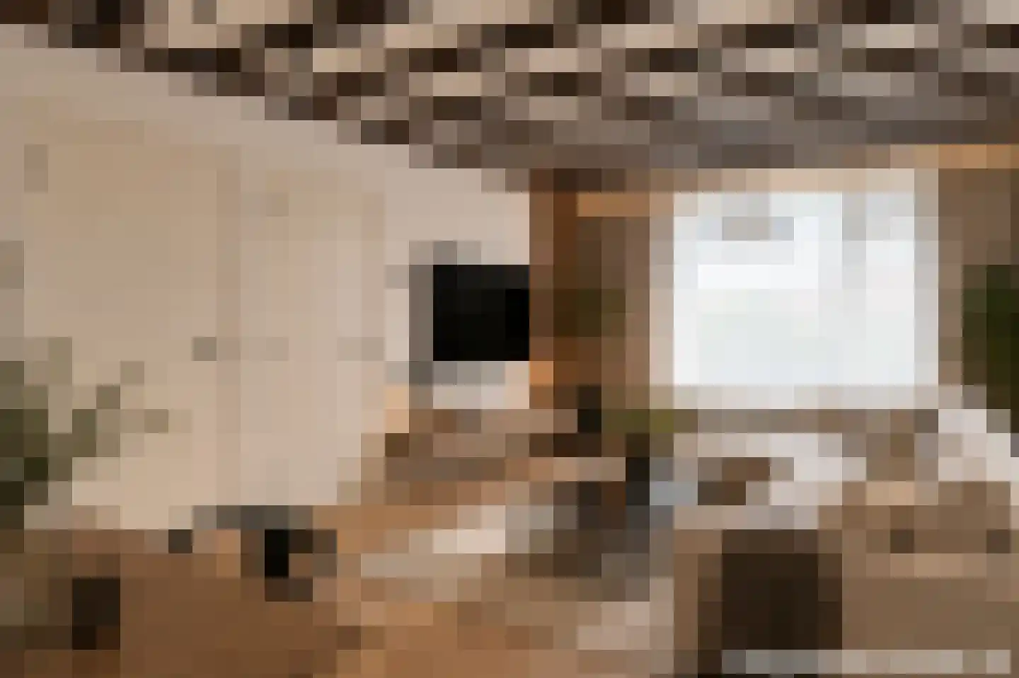 Molenberg 10 Baarlo thumbnail 5