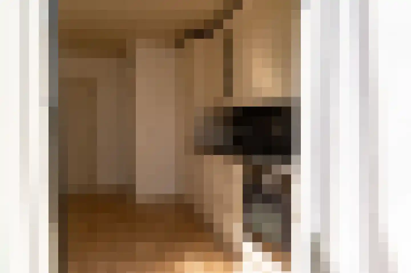 Molenberg 10 Baarlo thumbnail 7