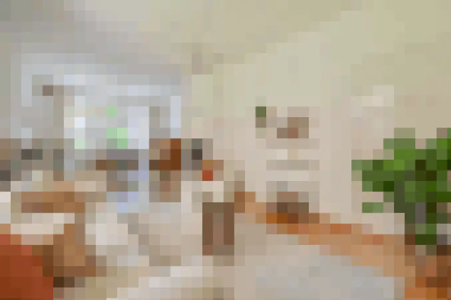 Molenberg 10 Huizen thumbnail 16