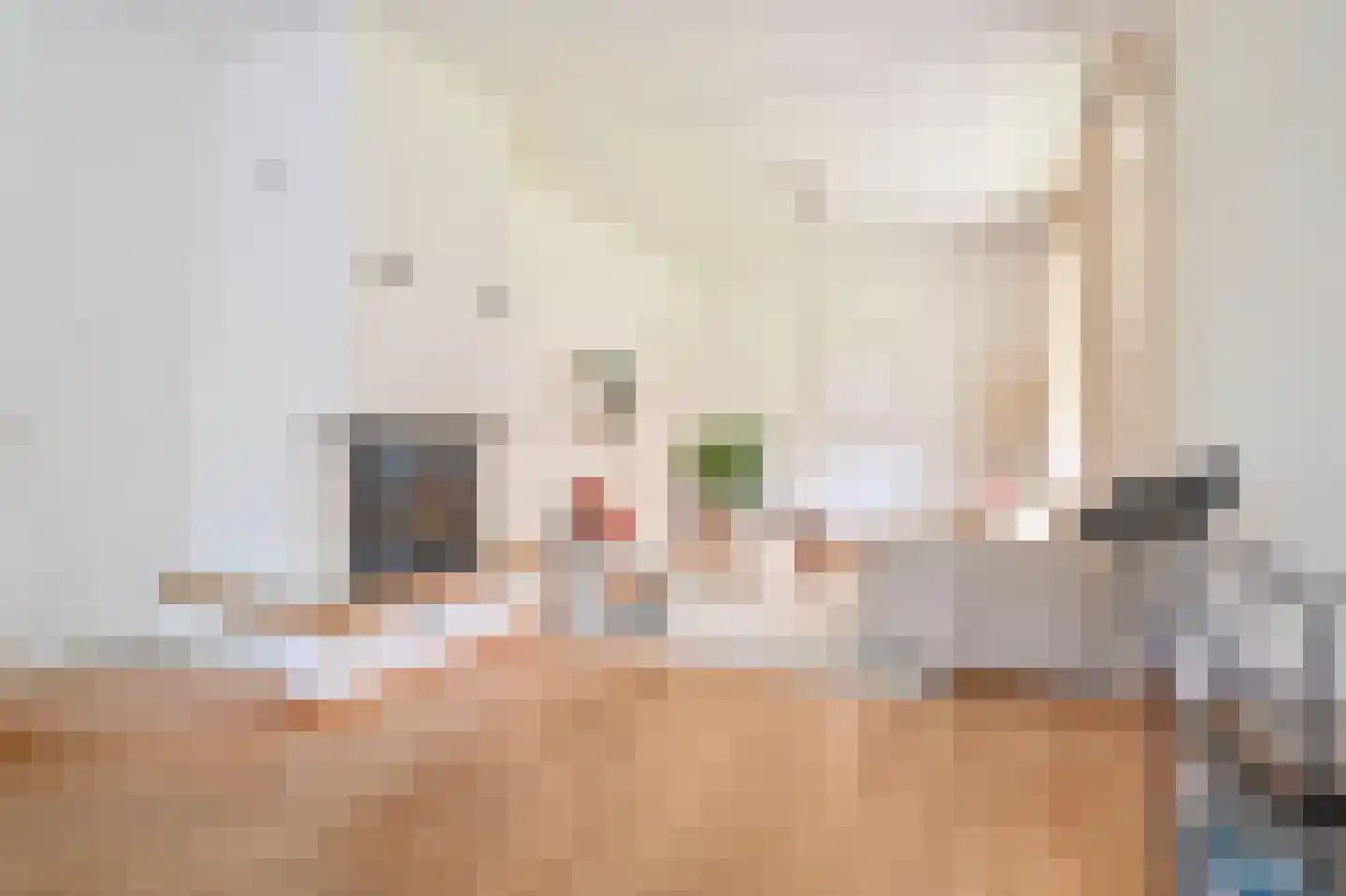 Molenberg 10 Huizen thumbnail 21