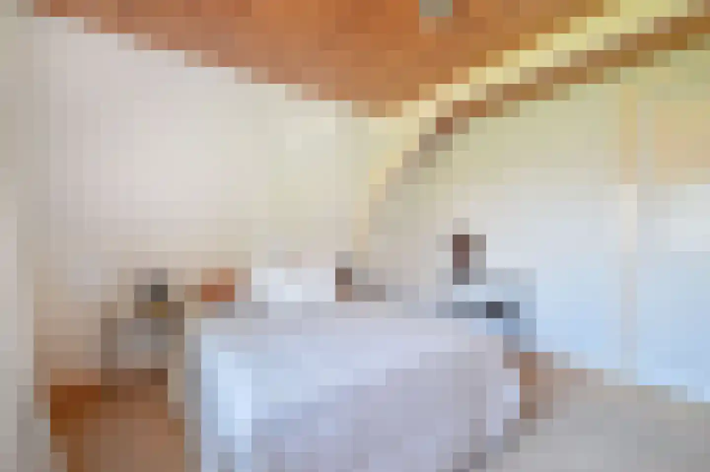 Molenberg 10 Huizen thumbnail 36
