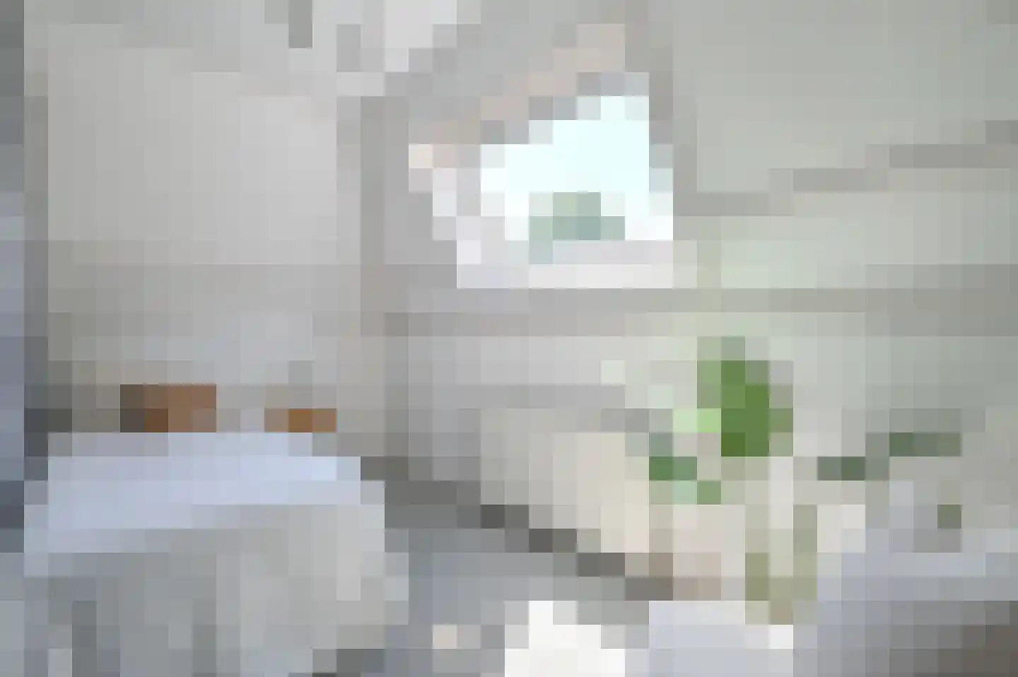 Molenberg 10 Huizen thumbnail 42