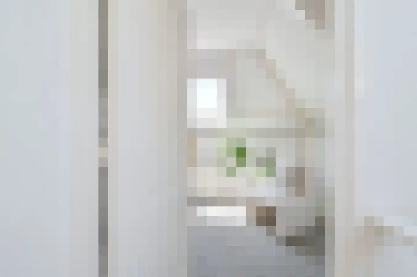 Molenberg 10 Huizen thumbnail 43