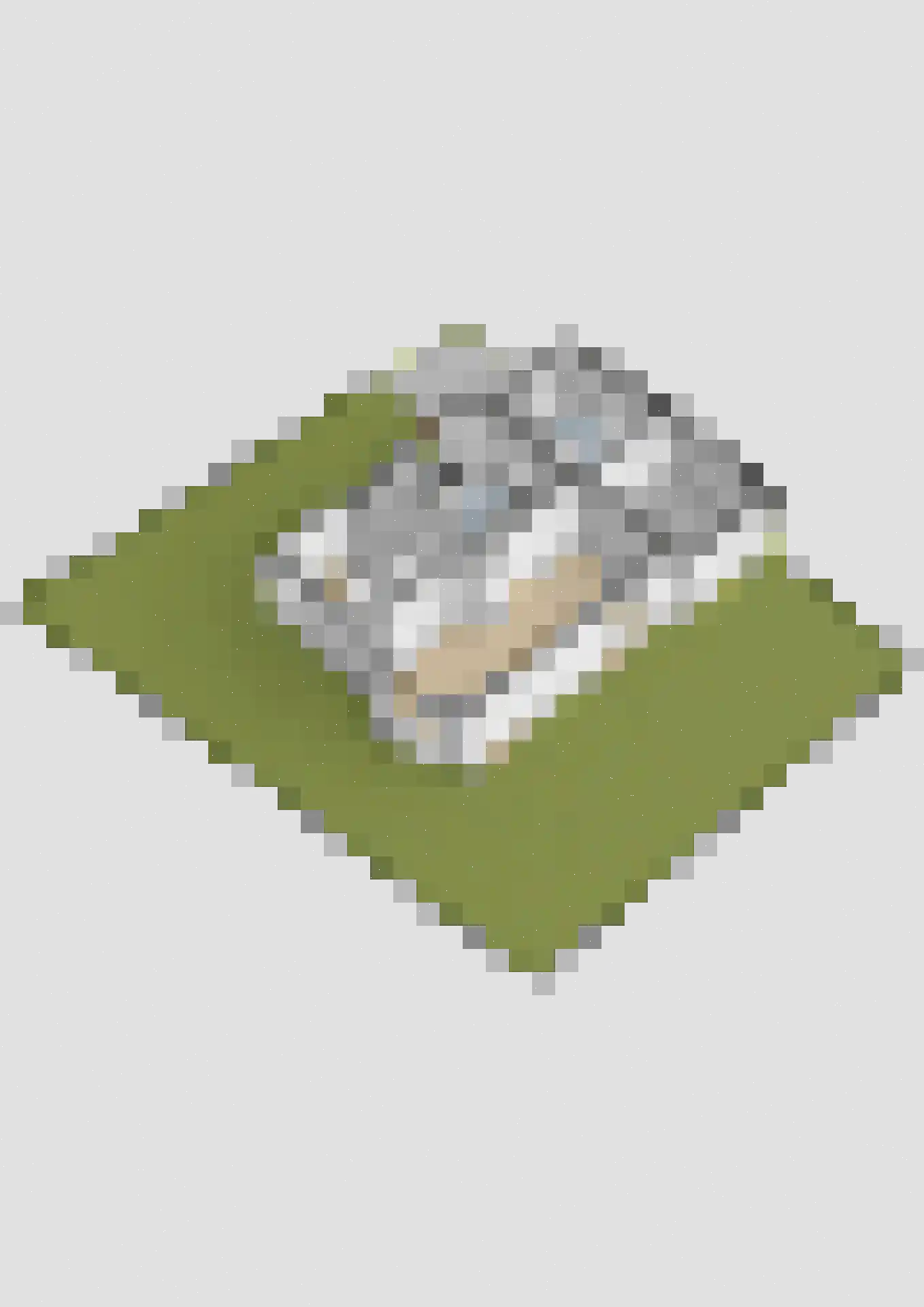 Molenberg 10 Huizen thumbnail 56