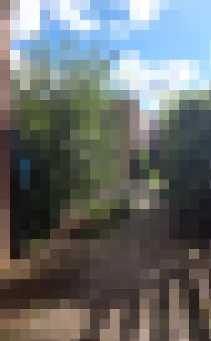 Molenberg 12 Oostburg thumbnail 28