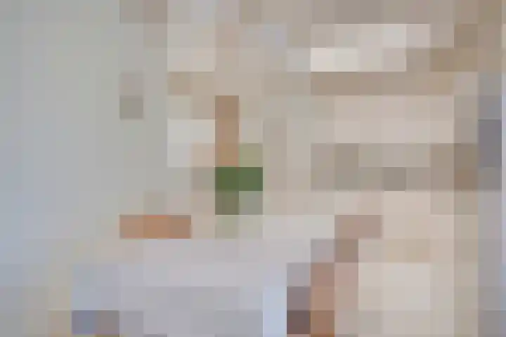 Molenberg 12 Reusel thumbnail 11