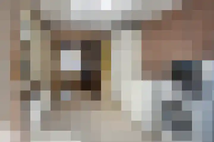 Molenberg 12 Reusel thumbnail 15
