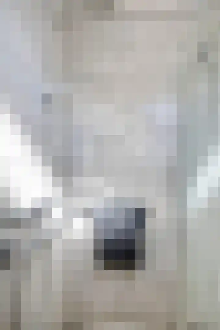 Molenberg 12 Reusel thumbnail 17