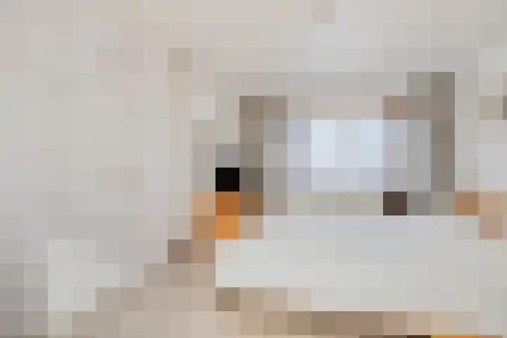 Molenberg 12 Reusel thumbnail 21