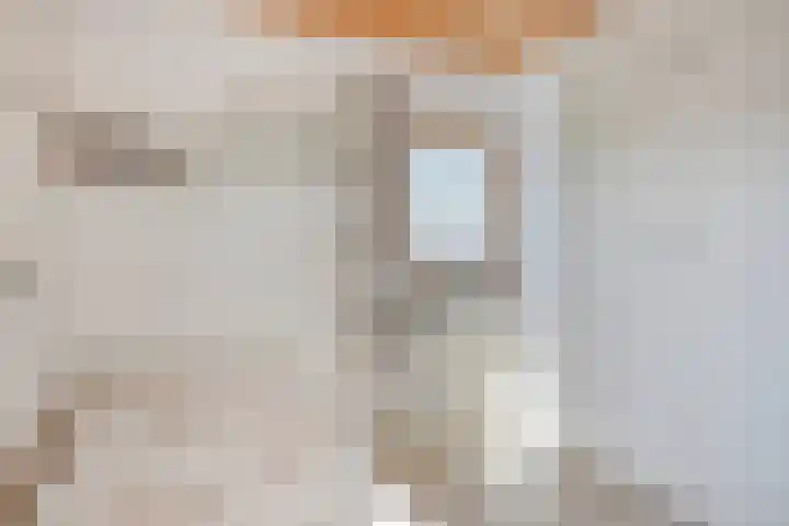 Molenberg 12 Reusel thumbnail 22