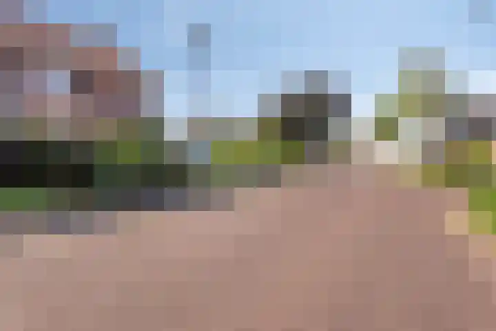 Molenberg 12 Reusel thumbnail 35