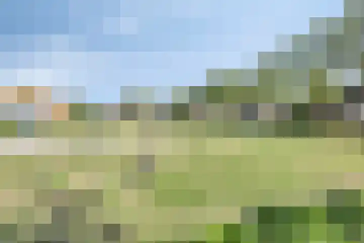 Molenberg 12 Reusel thumbnail 37