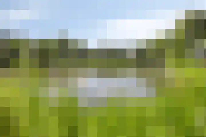 Molenberg 12 Reusel thumbnail 38