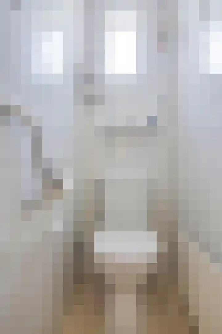 Molenberg 12 Reusel thumbnail 4