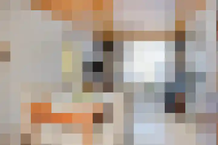 Molenberg 12 Reusel thumbnail 9