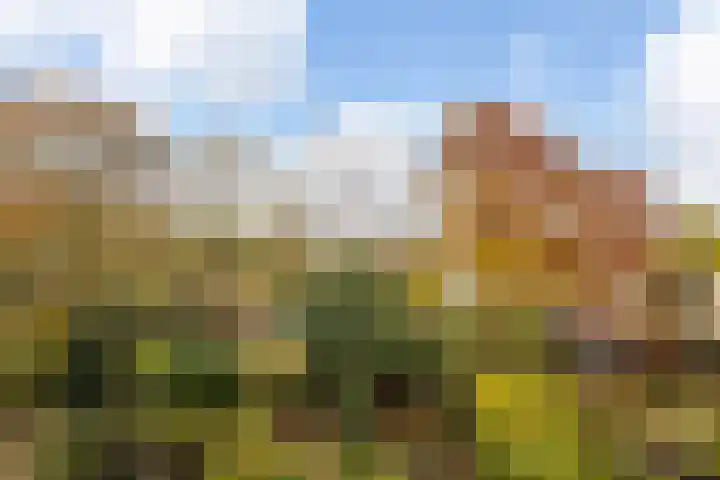 Molenberg 13 Rhenen thumbnail 25