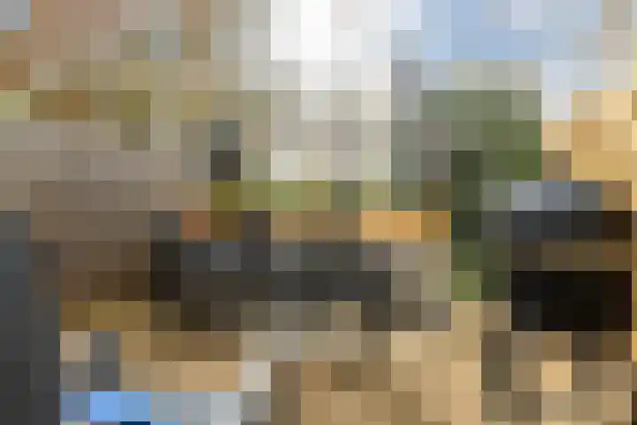 Molenberg 13 Rhenen thumbnail 30