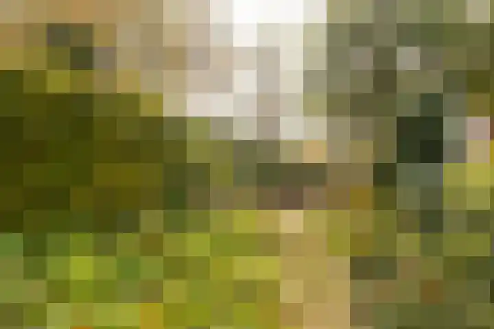 Molenberg 13 Rhenen thumbnail 31