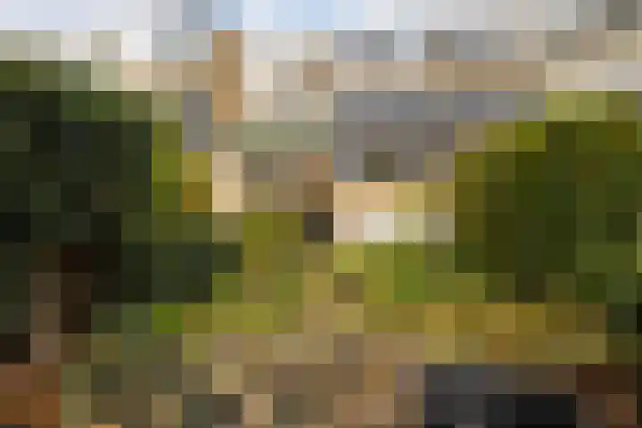 Molenberg 13 Rhenen thumbnail 32