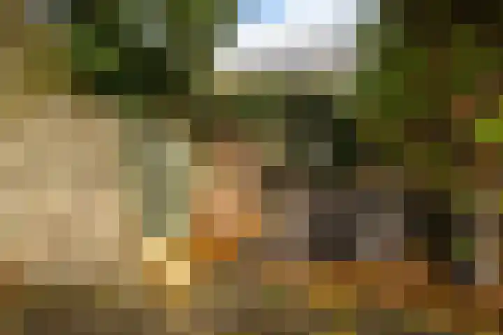Molenberg 13 Rhenen thumbnail 33