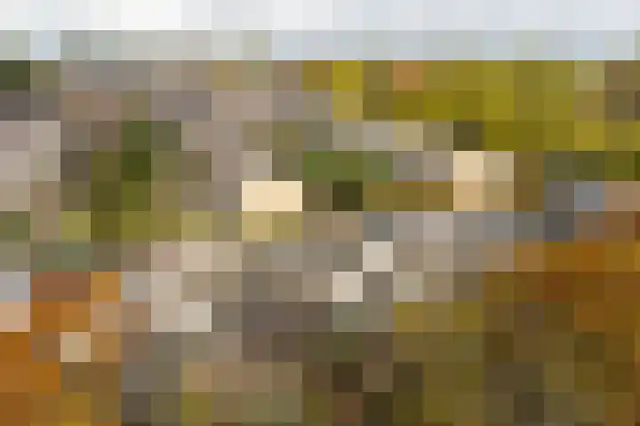 Molenberg 13 Rhenen thumbnail 37