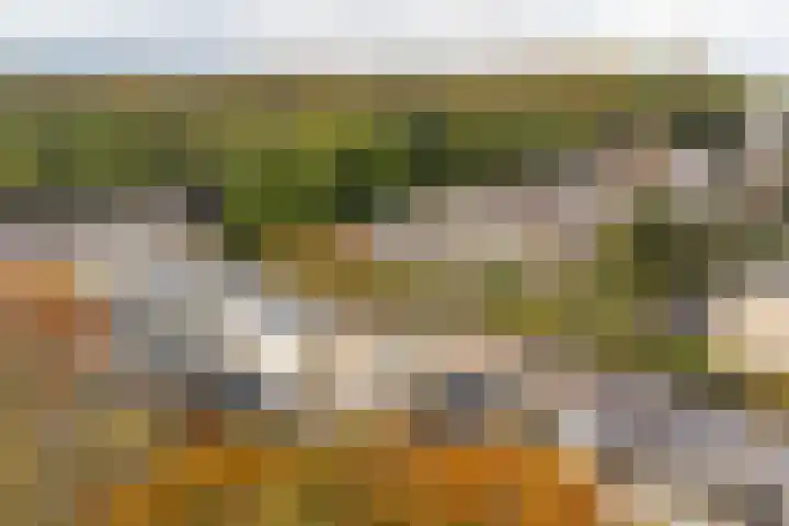 Molenberg 13 Rhenen thumbnail 38