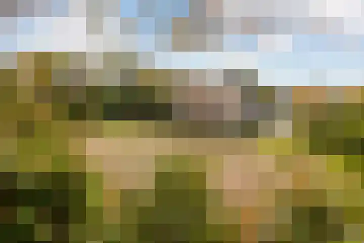 Molenberg 13 Rhenen thumbnail 39