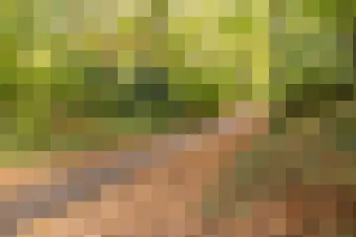 Molenberg 13 Rhenen thumbnail 41