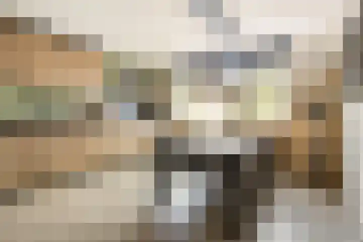 Molenberg 13 Rhenen thumbnail 8