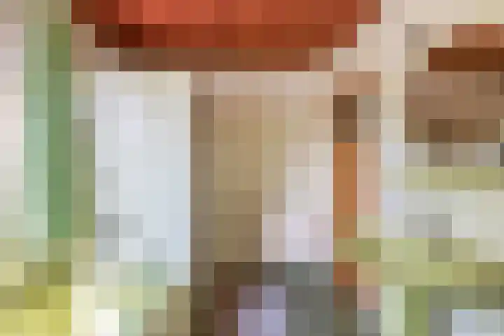 Molenberg 15 Vessem thumbnail 31