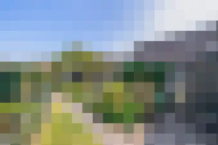 Molenberg 15 Vessem thumbnail 43