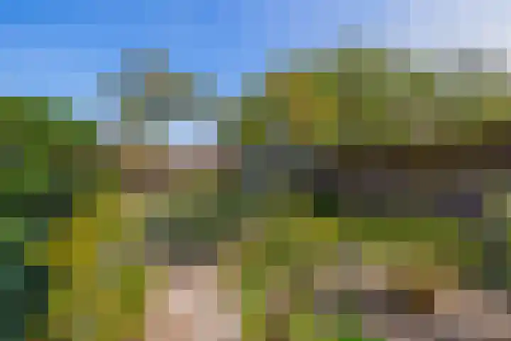 Molenberg 15 Vessem thumbnail 44