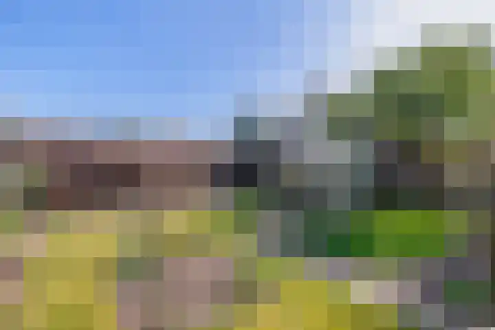 Molenberg 15 Vessem thumbnail 45