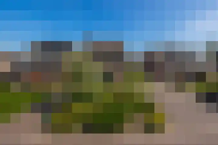 Molenberg 15 Vessem thumbnail 5