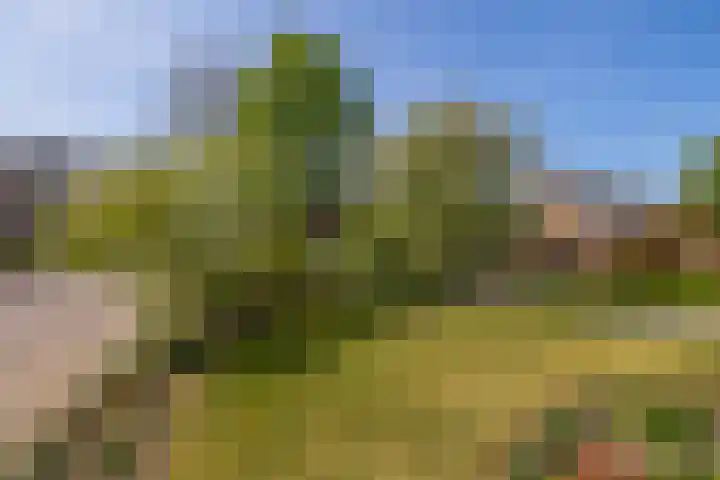 Molenberg 15 Vessem thumbnail 51