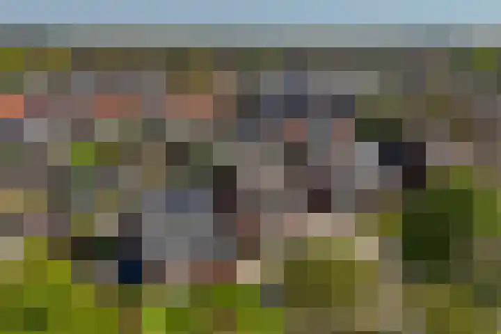 Molenberg 15 Vessem thumbnail 53