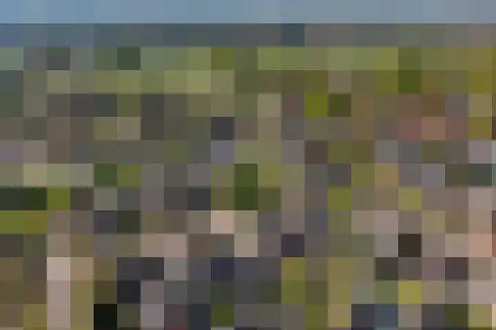 Molenberg 15 Vessem thumbnail 58