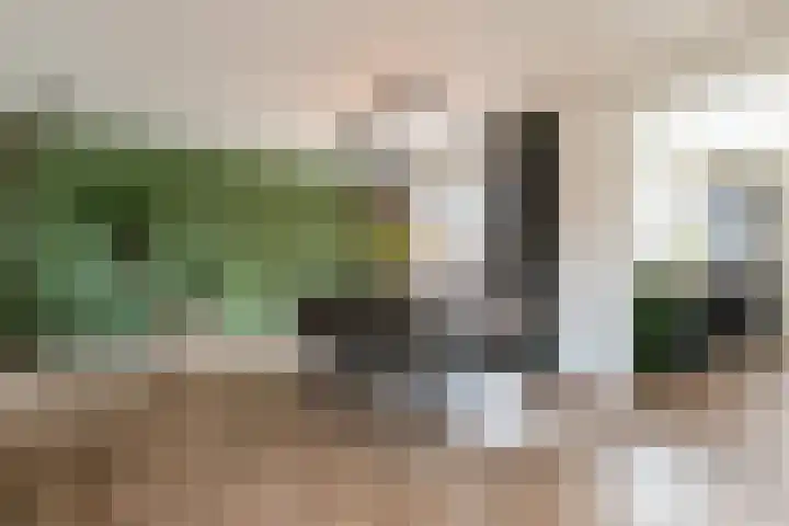 Molenberg 16 Vessem thumbnail 12